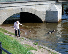 Фотоприколы