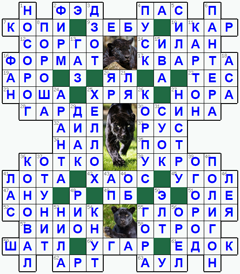 ответы на кроссворд