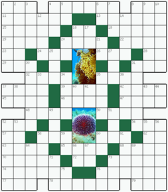 Кроссворд №254: КОРАЛЛ
. Сетка кроссворда: 14х16
