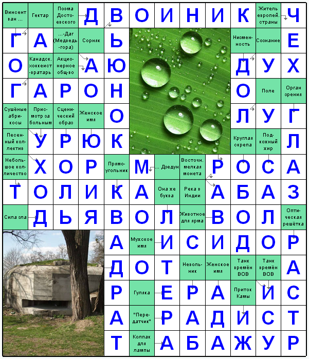 Распечатать сканворд