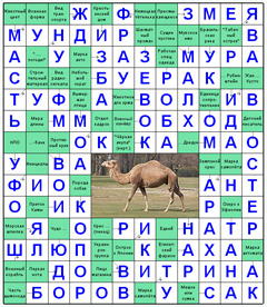 ответы на сканворд