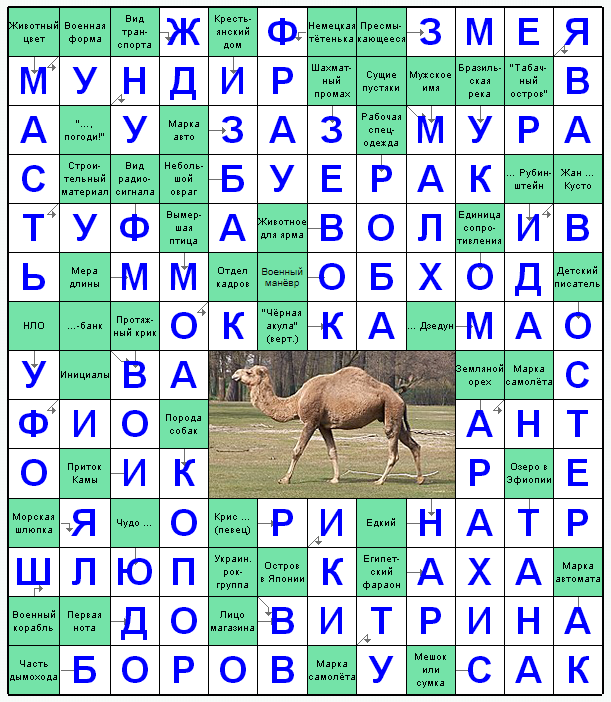 Распечатать сканворд