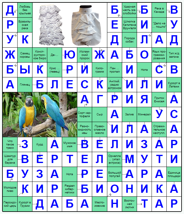 Распечатать сканворд