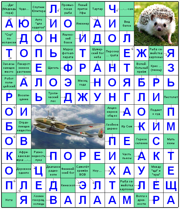 Распечатать сканворд