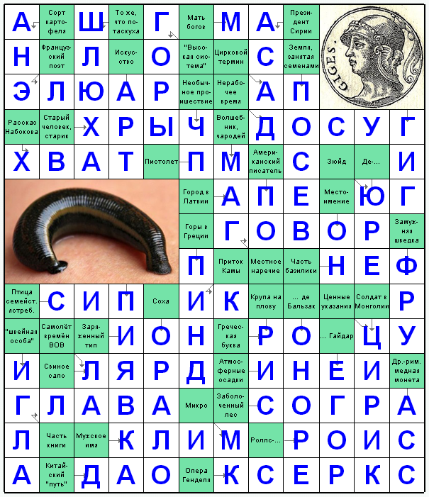 Распечатать сканворд