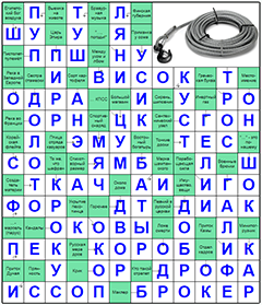 ответы на сканворд