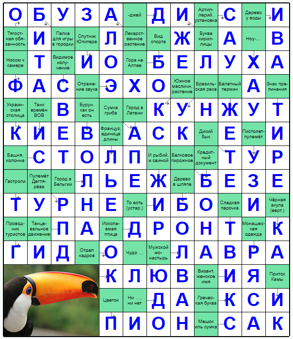 Распечатать сканворд