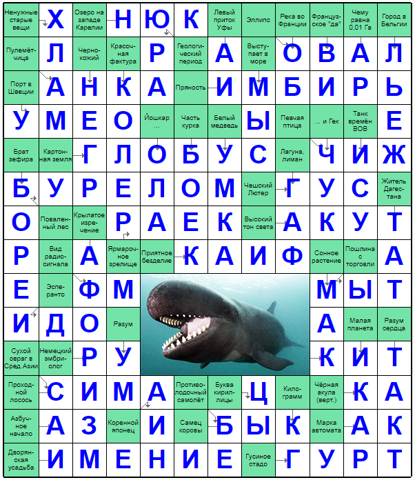 Распечатать сканворд