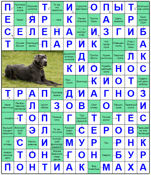 Распечатать сканворд