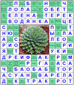 ответы на сканворд