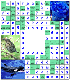 ответы на сканворд