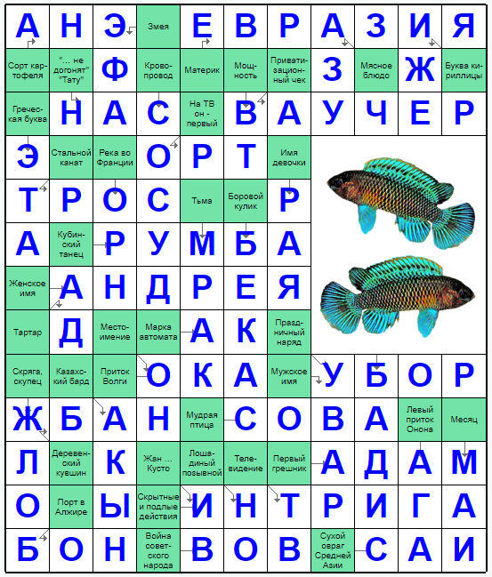 Распечатать сканворд