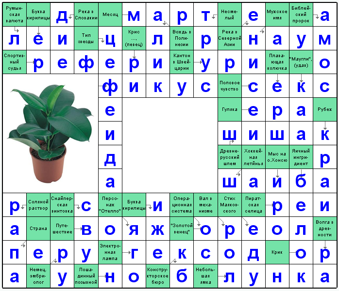 Распечатать сканворд