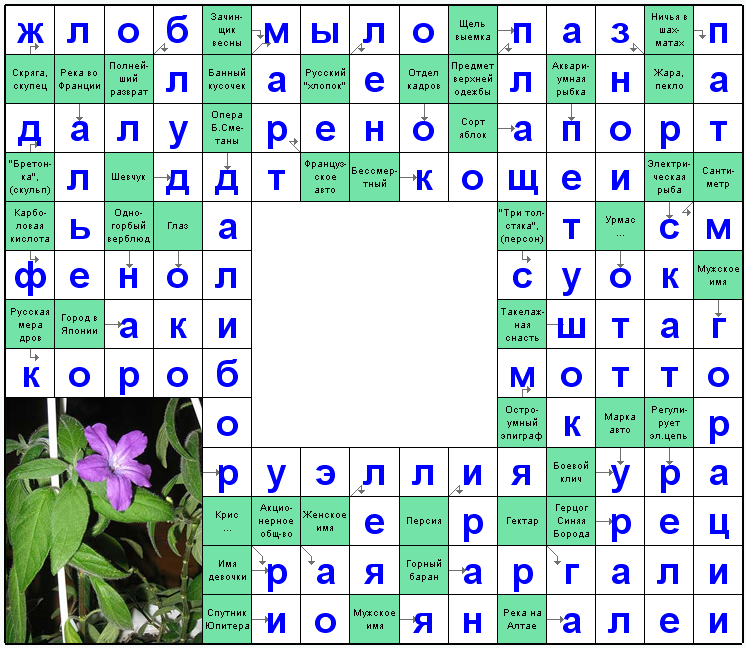 Распечатать сканворд