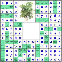 ответы на сканворд