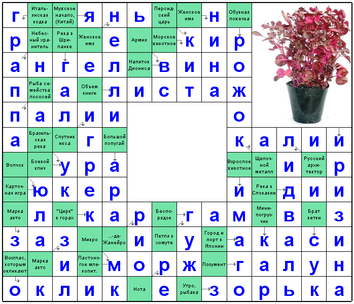 Распечатать сканворд